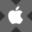 Apple xStock