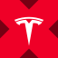 Tesla xStock